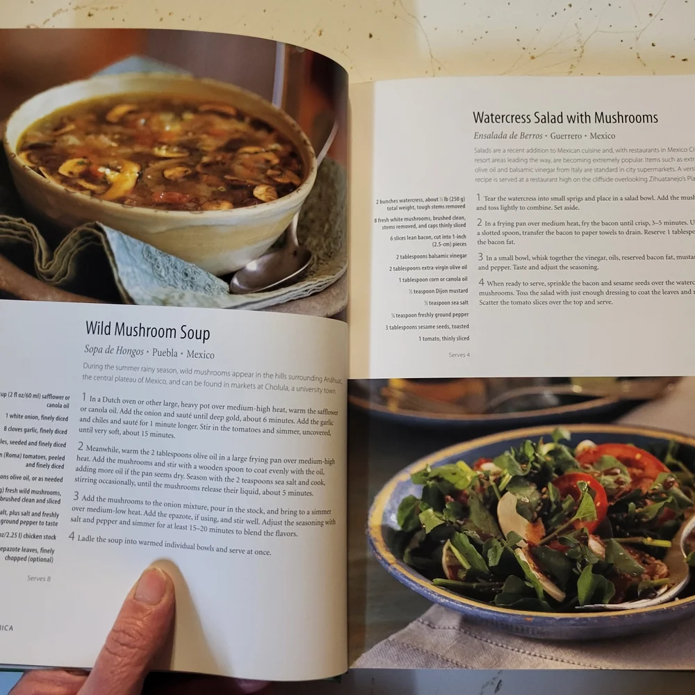 Williams Sonoma Soups & Salads Cookbook with Cream and Brown Cover